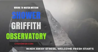 Griffith Observatory: Best Spots to Watch Meteor Showers in LA