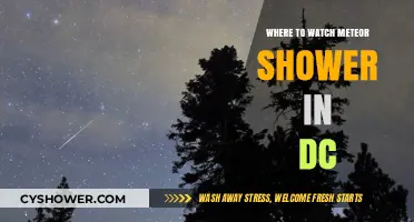 Best Spots in DC to Watch the Meteor Shower This Year