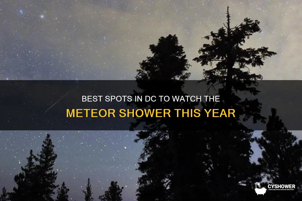 where to watch meteor shower in dc