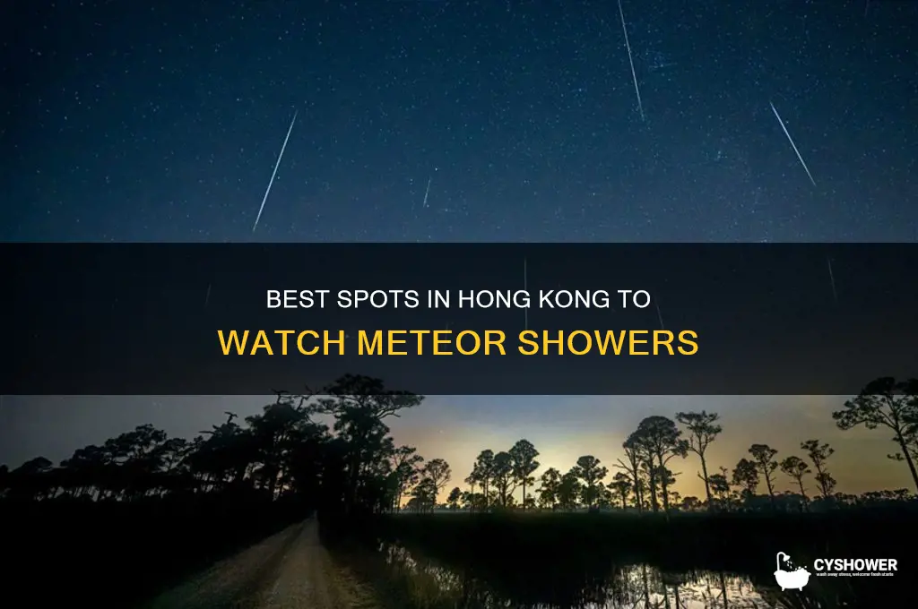 where to watch meteor shower in hong kong