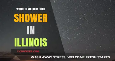 Best Illinois Spots to Watch Meteor Showers Under Dark Skies