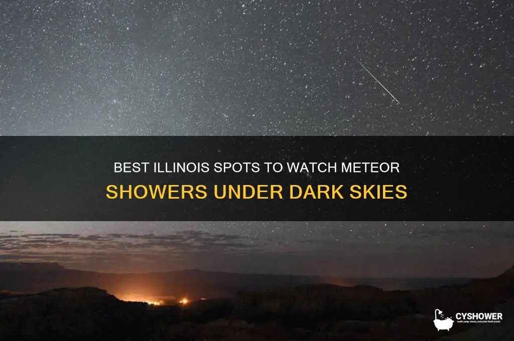 where to watch meteor shower in illinois