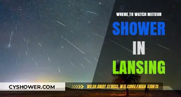 Best Spots in Lansing to Watch the Meteor Shower