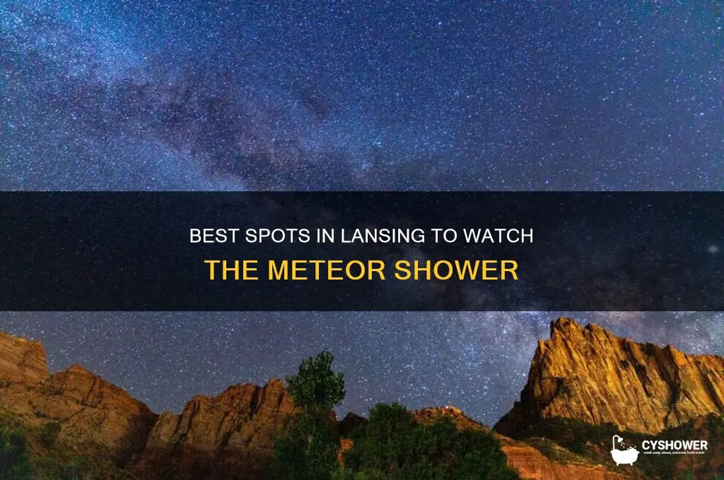 where to watch meteor shower in lansing