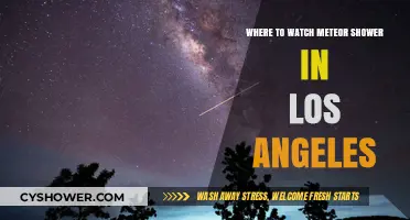 Best Spots in Los Angeles to Watch Meteor Showers
