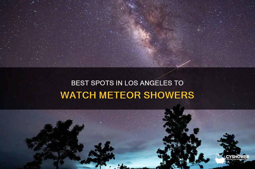 where to watch meteor shower in los angeles