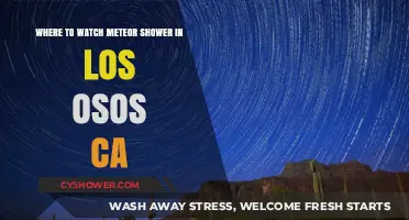 Best Spots in Los Osos, CA for Meteor Shower Viewing
