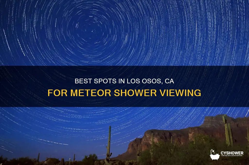where to watch meteor shower in los osos ca