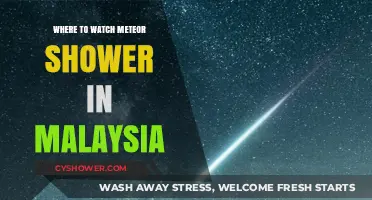 Best Spots in Malaysia to Watch Meteor Showers: A Guide