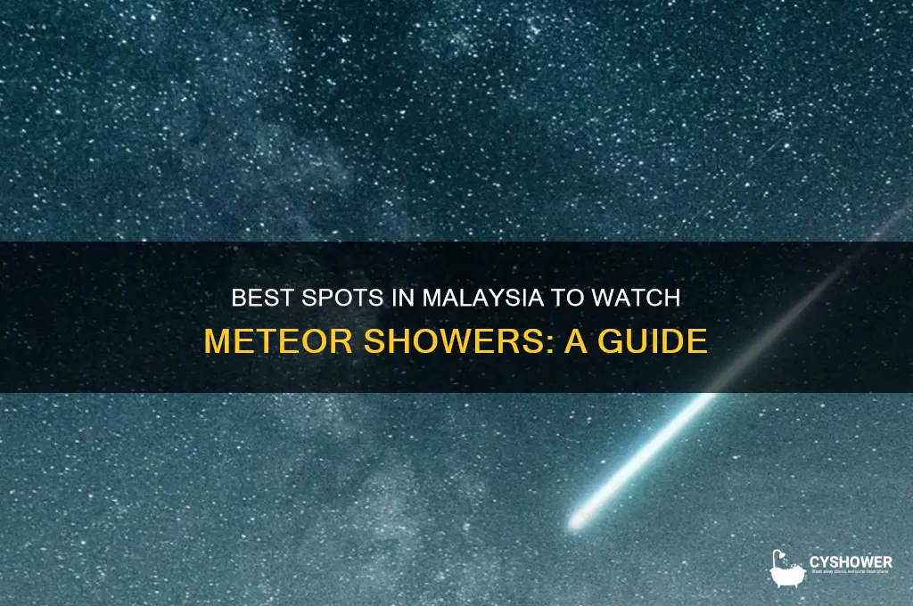 where to watch meteor shower in malaysia