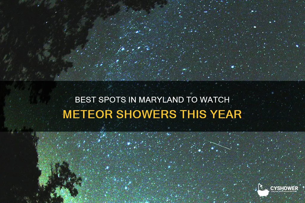 where to watch meteor shower in maryland