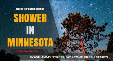 Best Minnesota Spots to Watch the Meteor Shower This Year
