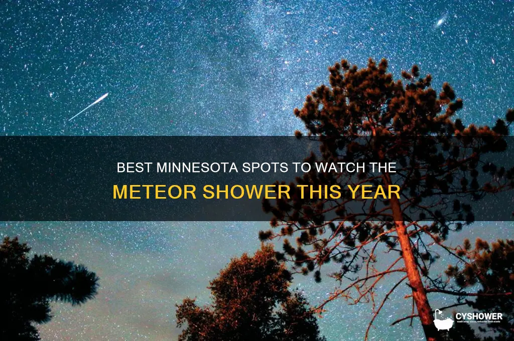 where to watch meteor shower in minnesota