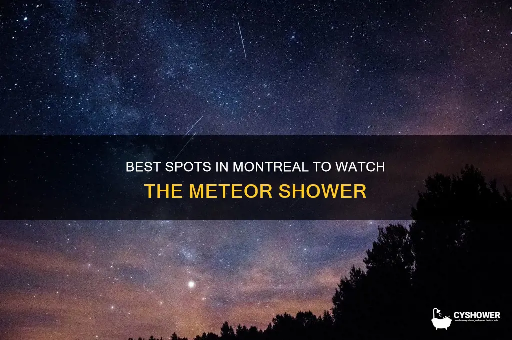where to watch meteor shower in montreal