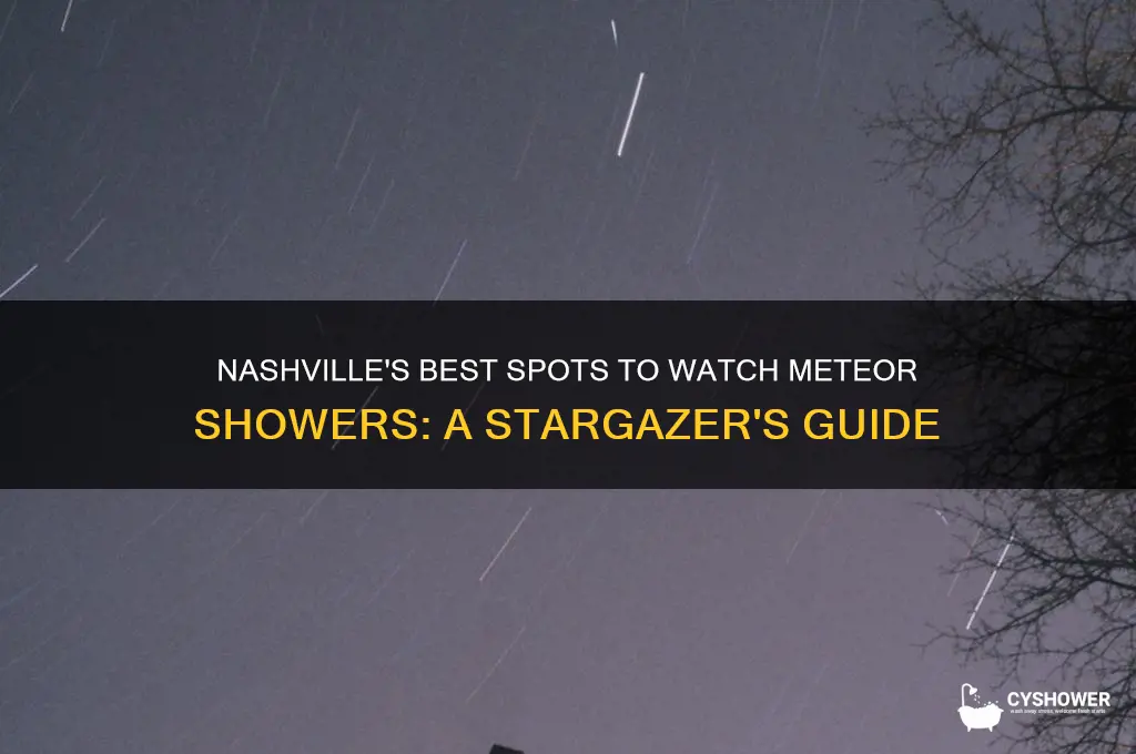 where to watch meteor shower in nashville