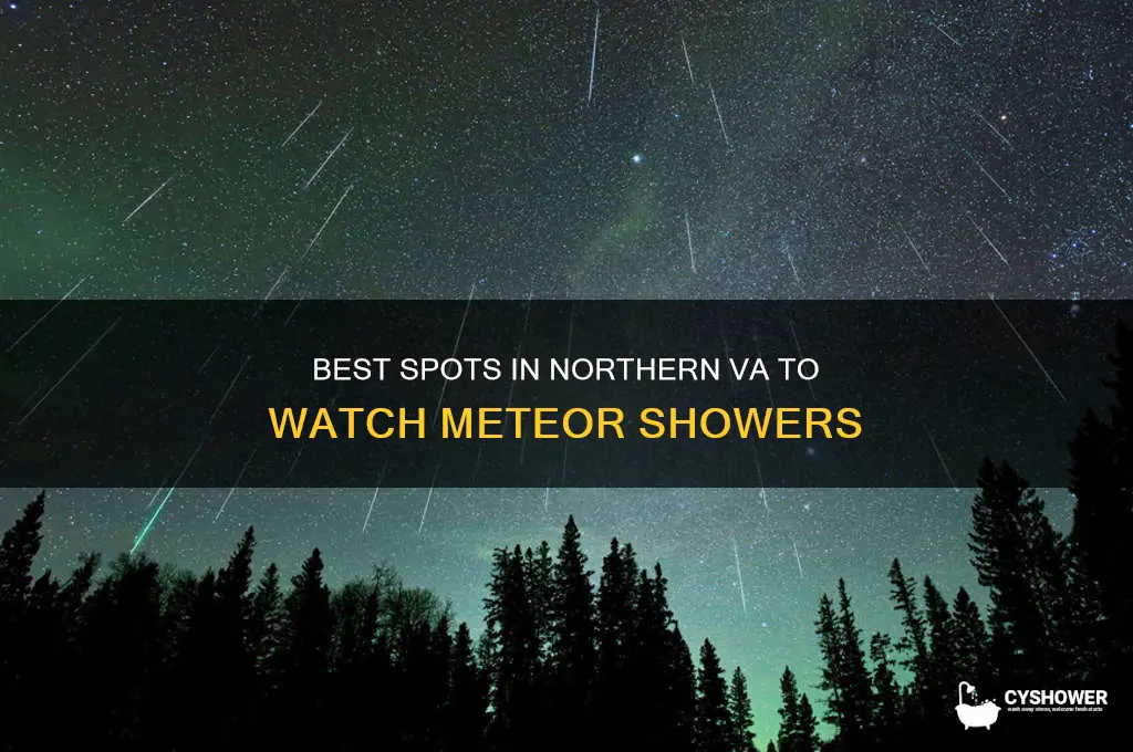 where to watch meteor shower in northern va