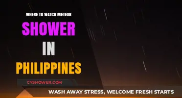 Best Spots in the Philippines to Watch Meteor Showers