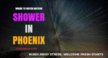 Best Spots in Phoenix to Watch the Meteor Shower Tonight