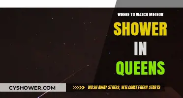 Queens' Best Spots to Watch the Meteor Shower This Year