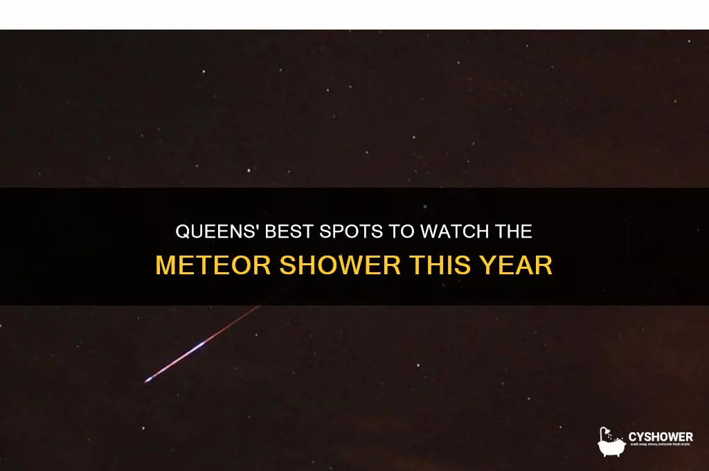where to watch meteor shower in queens