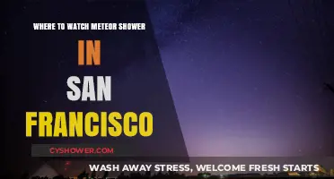Best Spots to Watch Meteor Showers in San Francisco