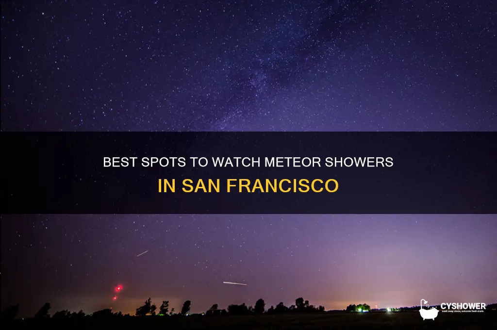 where to watch meteor shower in san francisco
