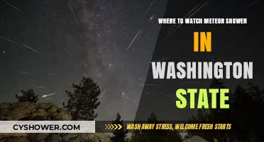 Best Washington State Spots to Watch Meteor Showers This Year