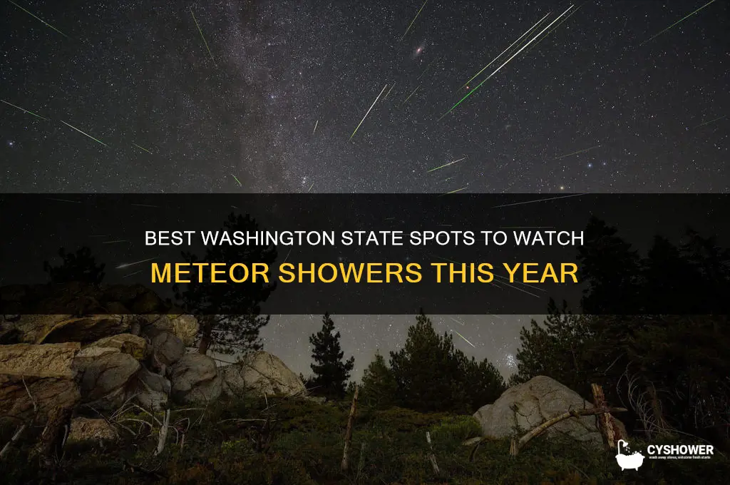 where to watch meteor shower in washington state