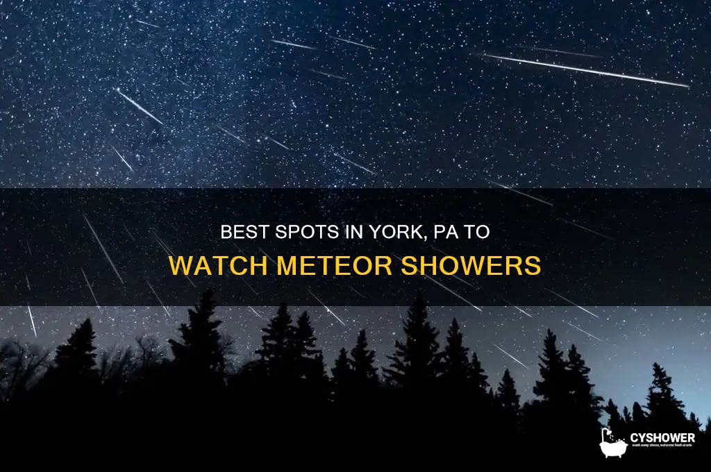 where to watch meteor shower in york pa