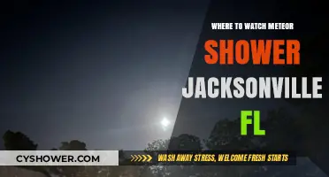 Jacksonville's Best Spots to Watch the Meteor Shower This Year