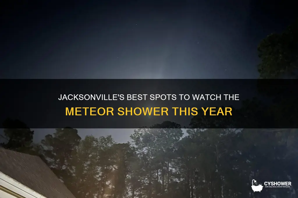where to watch meteor shower jacksonville fl