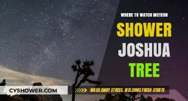 Joshua Tree Meteor Shower Guide: Best Spots to Watch the Night Sky