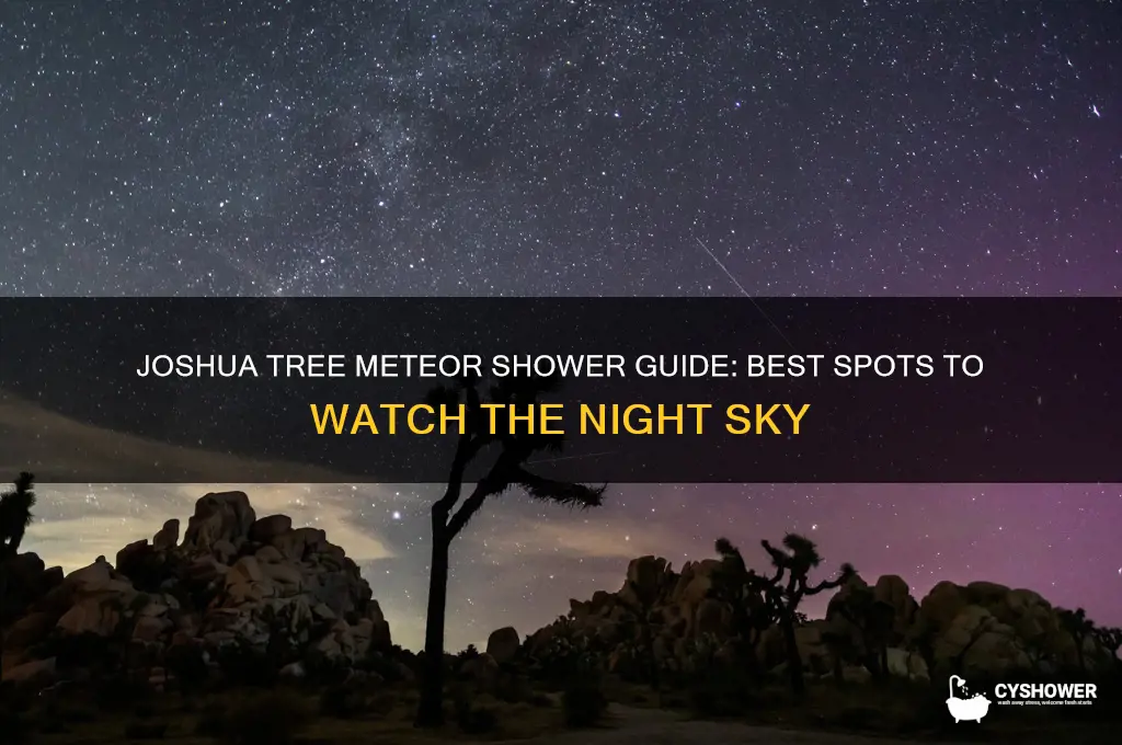 where to watch meteor shower joshua tree