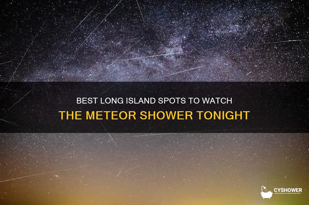 where to watch meteor shower long island