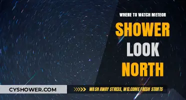 Best Spots to Watch Meteor Shower: Look North for Celestial Magic