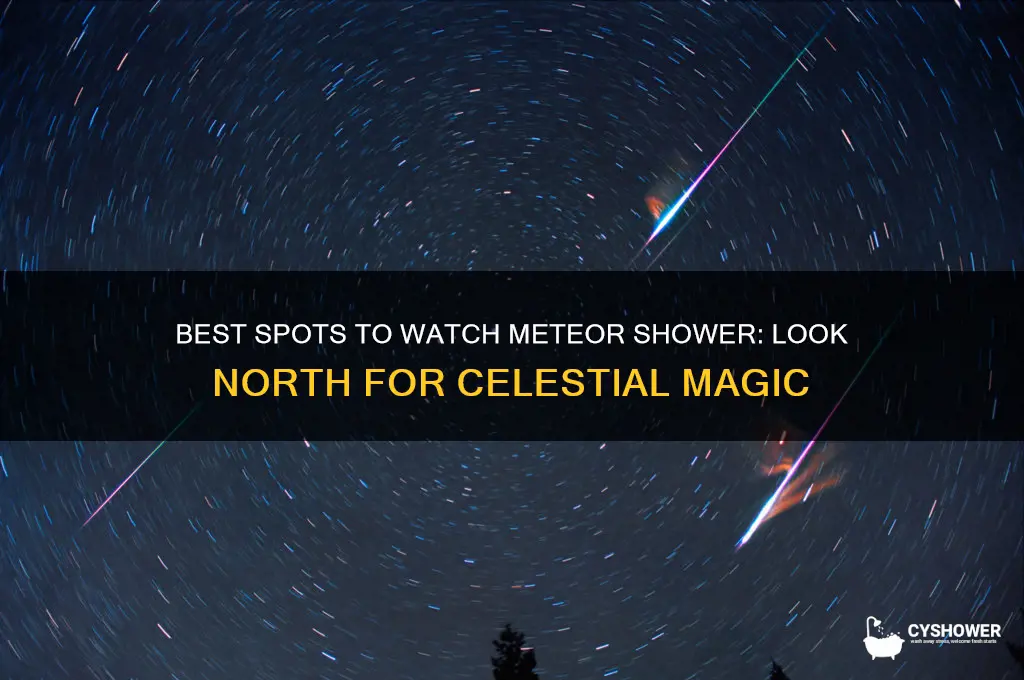 where to watch meteor shower look north