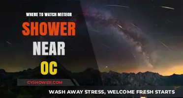 Best Spots Near OC to Watch the Meteor Shower Tonight