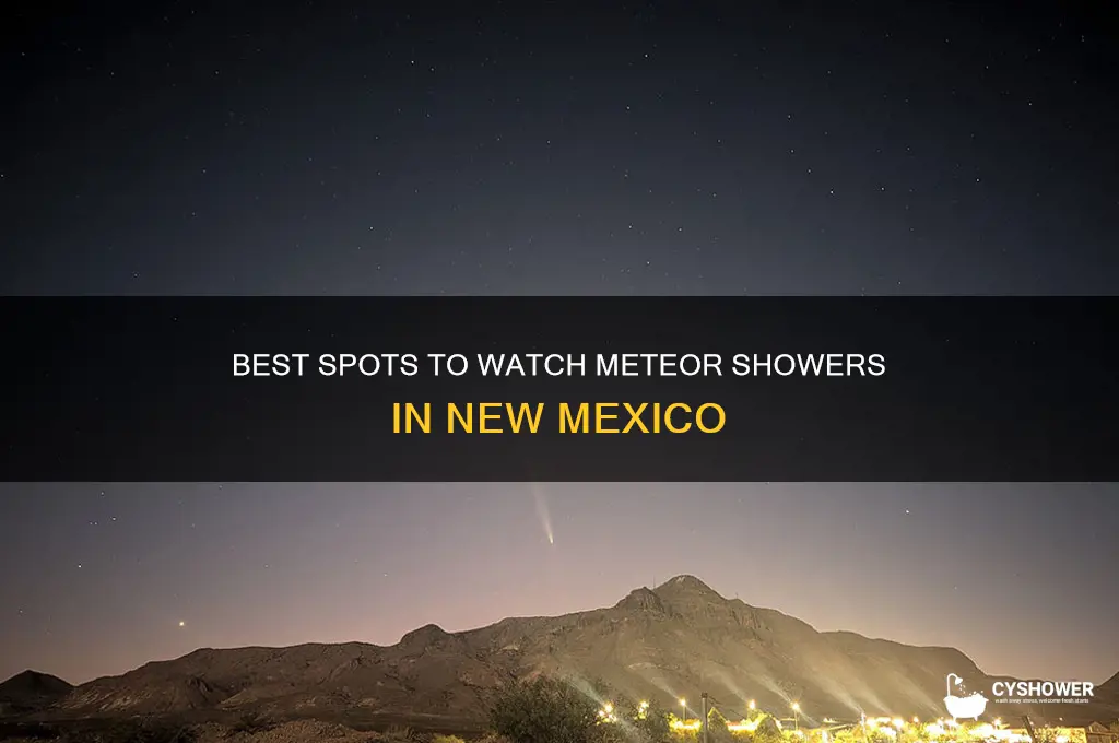 where to watch meteor shower new mexico
