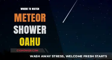 Best Spots to Watch Meteor Showers on Oahu: A Stargazer's Guide