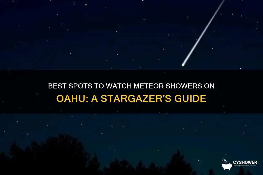 where to watch meteor shower oahu