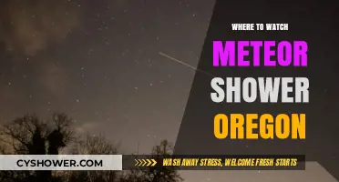 Oregon's Best Spots to Watch Meteor Showers Under Dark Skies
