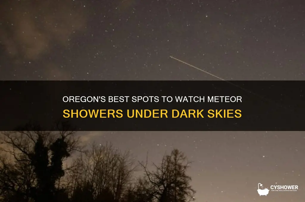 where to watch meteor shower oregon