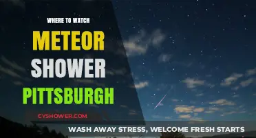 Best Spots in Pittsburgh to Watch the Meteor Shower