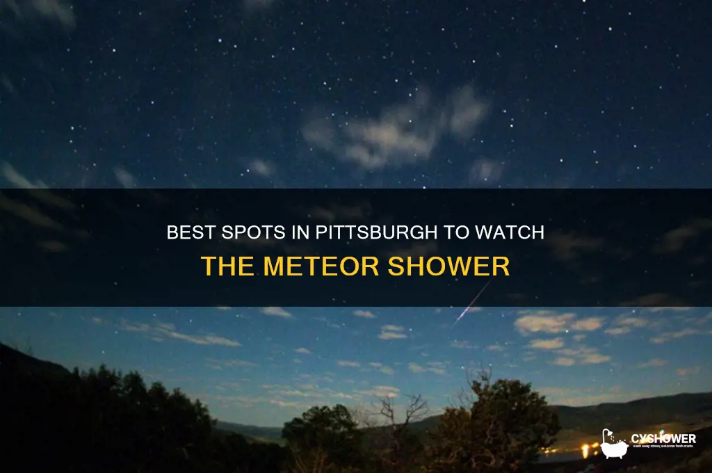 where to watch meteor shower pittsburgh