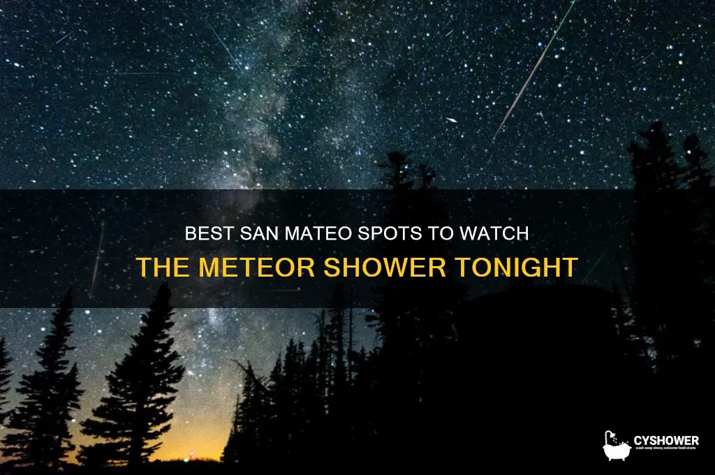 where to watch meteor shower san mateo