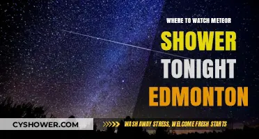Edmonton's Night Sky: Best Spots to Watch Tonight's Meteor Shower