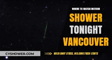 Vancouver's Night Sky: Best Spots to Watch Tonight's Meteor Shower