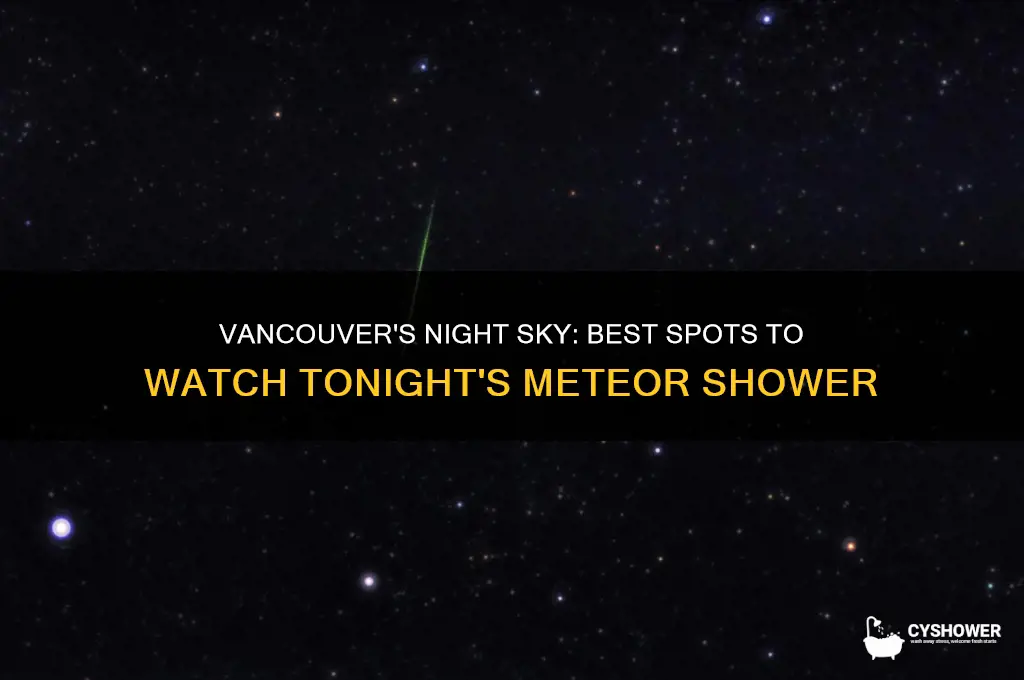 where to watch meteor shower tonight vancouver