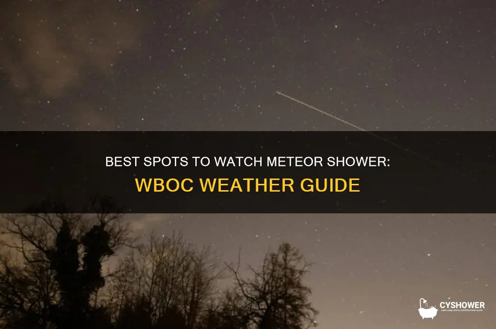 where to watch meteor shower wboc weather