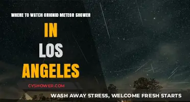 Best Spots in Los Angeles to Watch the Orionid Meteor Shower
